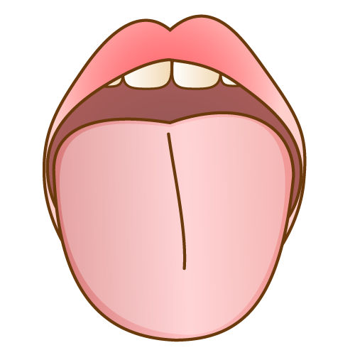 舌について