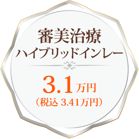 審美治療ハイブリッドインレー3.1万円（税込3.41万円）