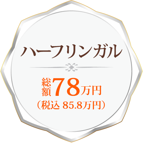 ハーフリンガル 総額78万円（税込 85.8万円）