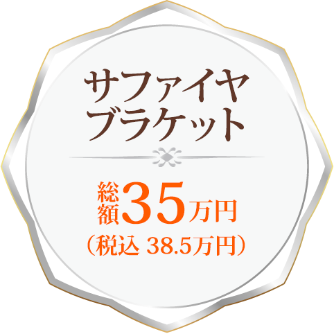 サファイヤ ブラケット 総額35万円（税込 38.5万円）