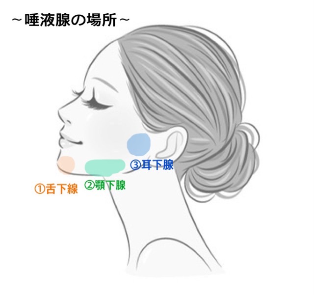 唾液のすごい力