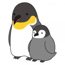 歯の無い動物について