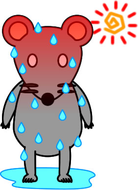 口が乾燥する．．．なんでだろう？？