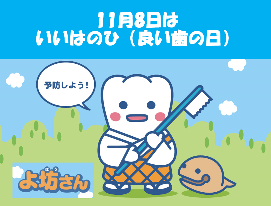 11月8日?